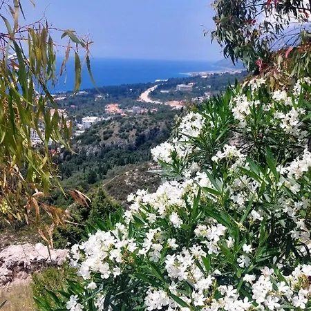 Casablanca * Χειμάρρα