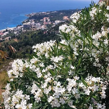 Casablanca Himare