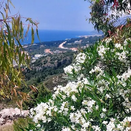 Casablanca Oda ve Kahvaltı *